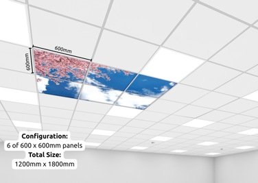 LED sky ceiling configuration - six 600 x 600 panels.