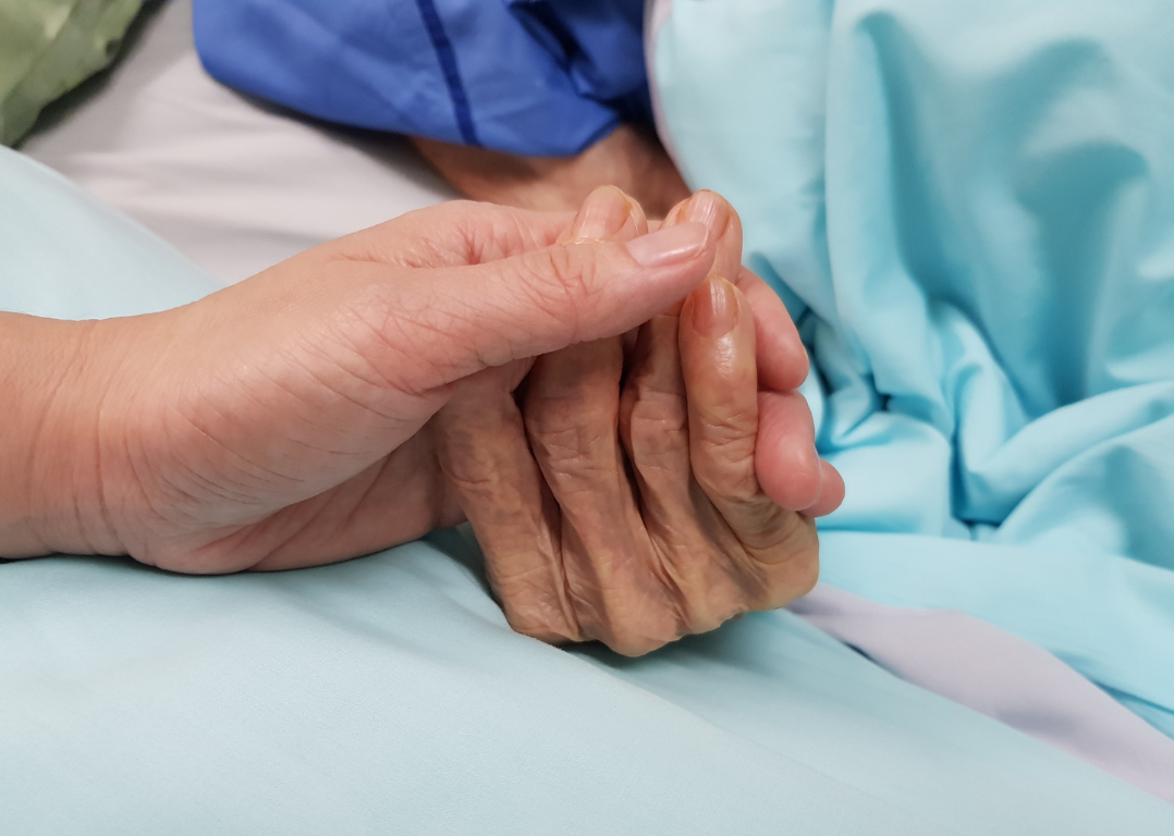 Hand hold Hand hold