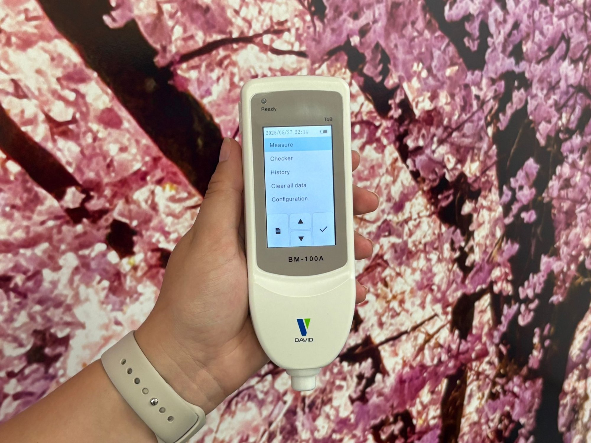Hand holding jaundice meter with screen turned on, with a cherry blossom wall in the background. Hand holding jaundice meter with screen turned on, with a cherry blossom wall in the background.
