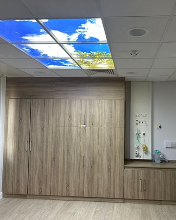 0001-1835682184628856501 1