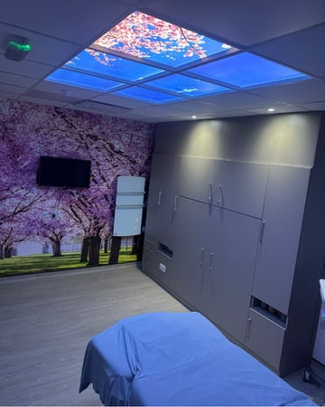 JR Wall Bed Installation (portrait)