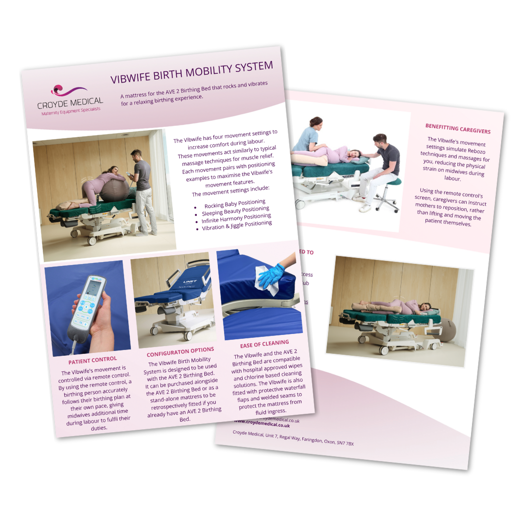 Vibwife Birth Mobility System Flyer Icon Vibwife Birth Mobility System Flyer Icon