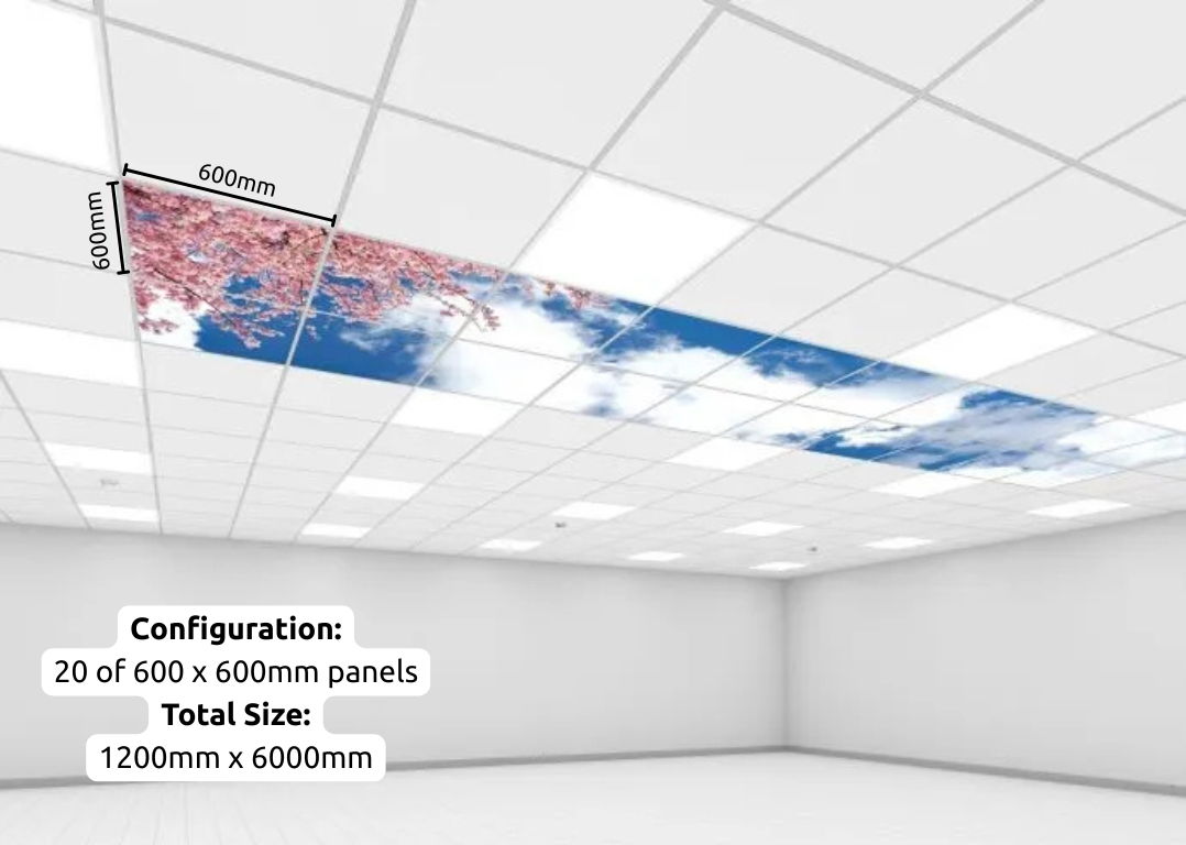 LED sky ceiling configuration - 20 600 x 600 panels. LED sky ceiling configuration - 20 600 x 600 panels.