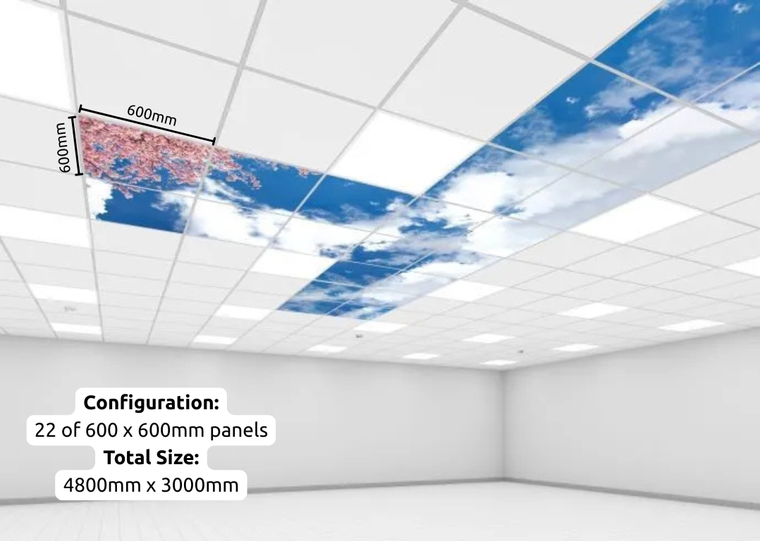 LED sky ceiling configuration - 22 600 x 600 panels. LED sky ceiling configuration - 22 600 x 600 panels.