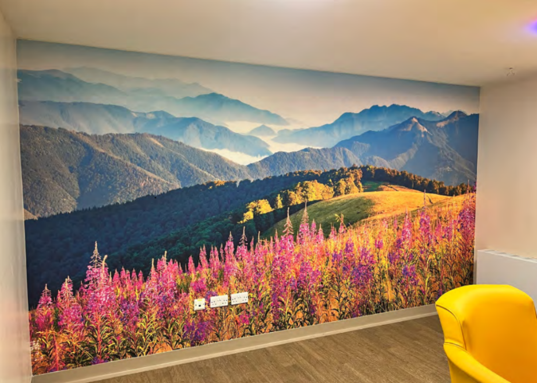 Feature Wallpaper Feature Image