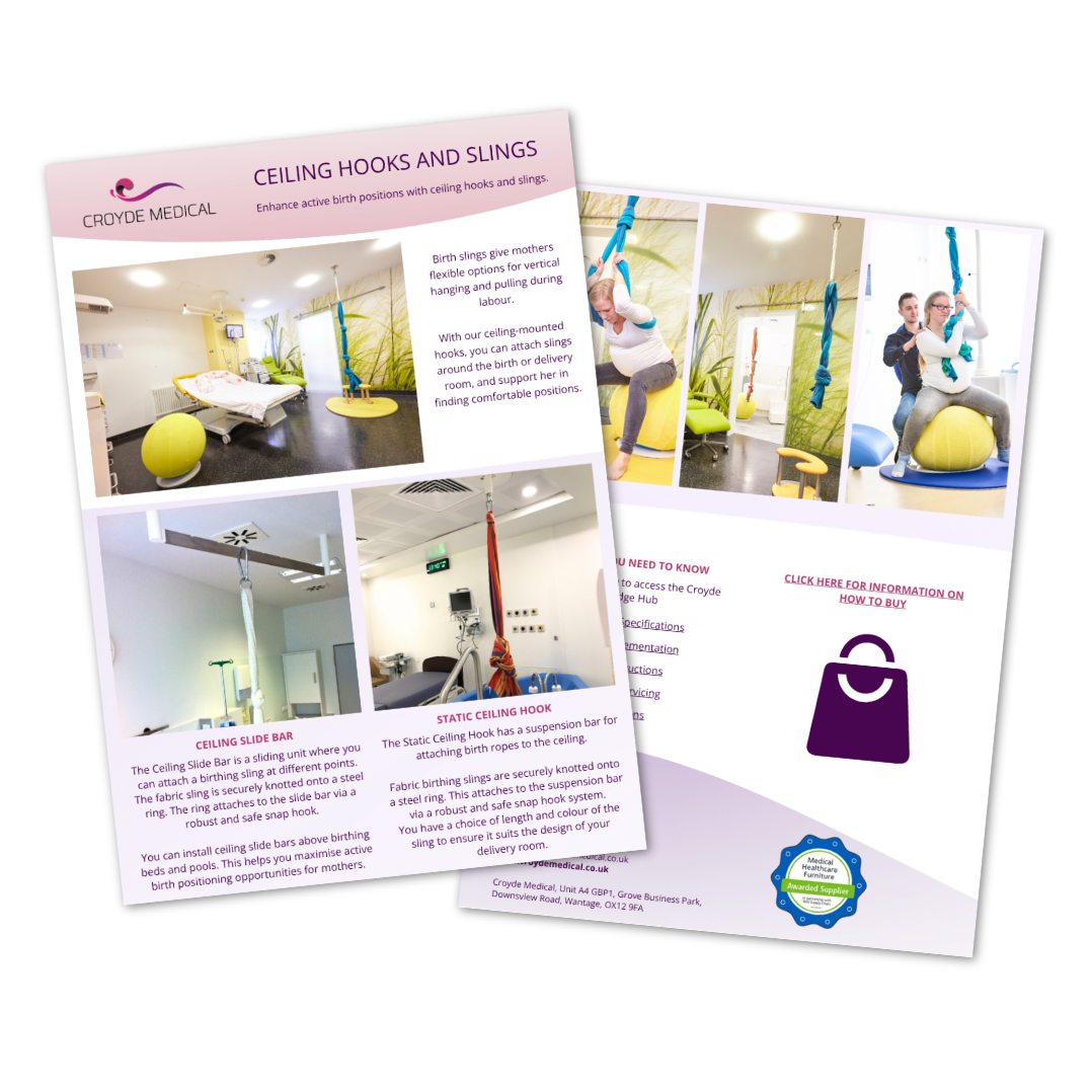 Ceiling Hooks & Slings Flyer Icon