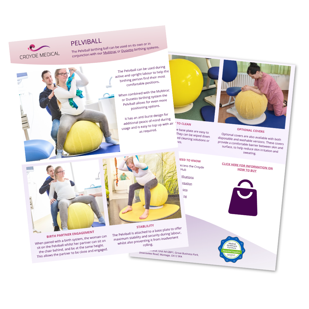 Pelviball Flyer Icon